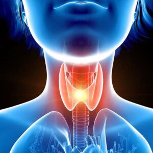 A medical illustration showing the thyroid gland, highlighted in red, located in the front of the neck, emphasizing its role in the endocrine system.