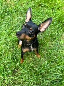 Baby Pic